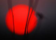 Marek Nasiadka - Koniec dnia - II miejsce w kategorii Inne spojrzenie