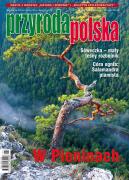 Fotografia autorstwa Grzegorza Szkutnika na okładce Przyrody Polskiej